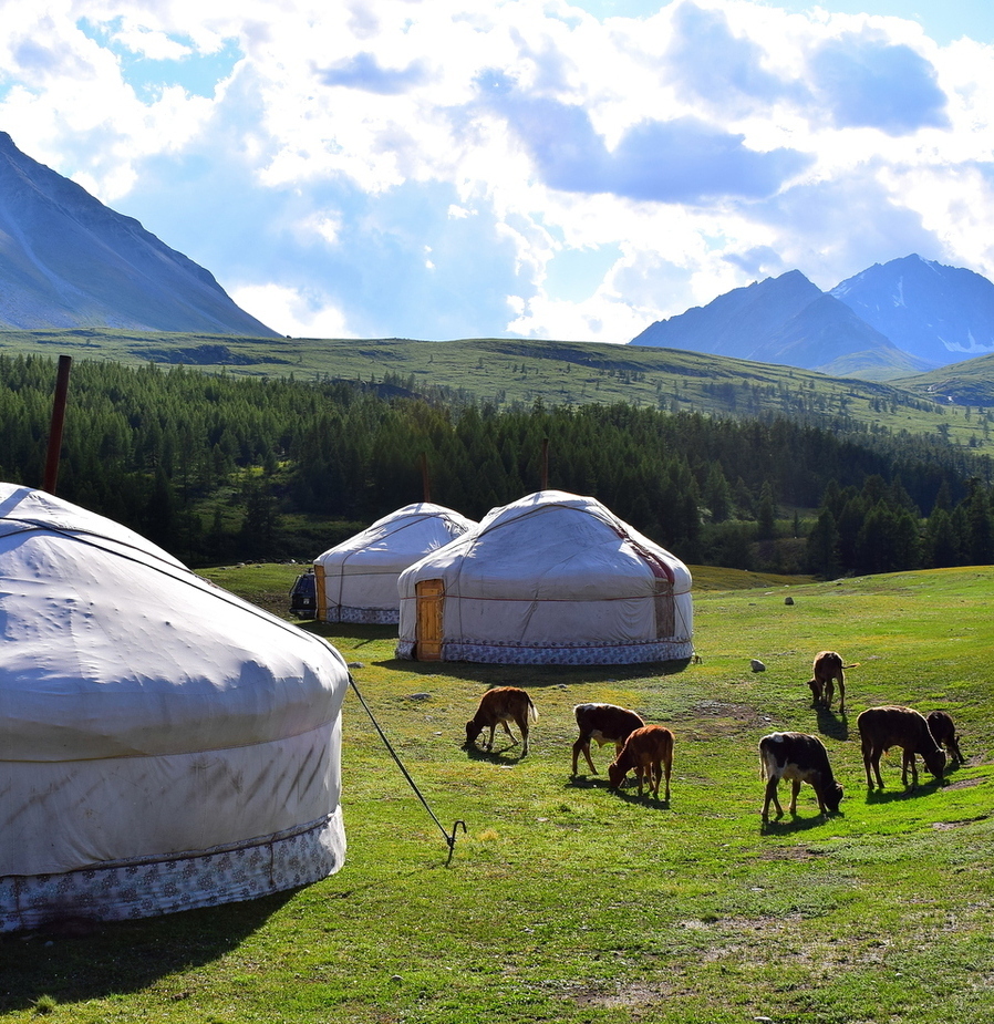 Private Ger Camp Adventures Mongolia