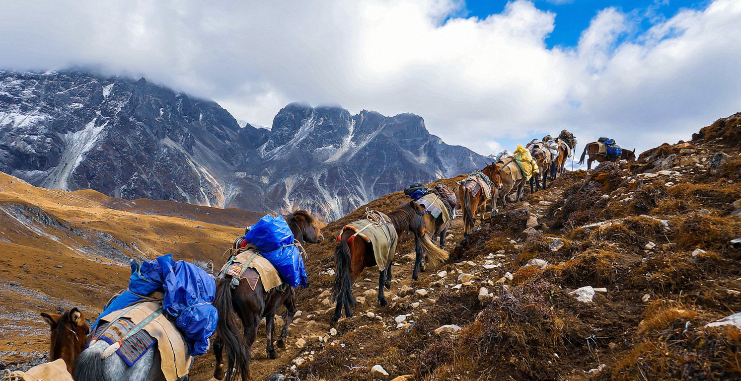 2024 Bhutan Trekking Expedition | Whistling Arrow 2024 Gangkhar Puensum Expedition | Whistling Arrow