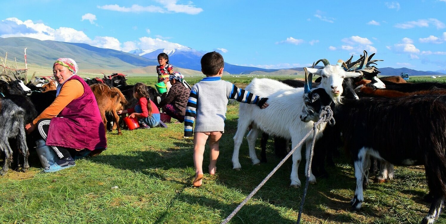 Nomadic Family Adventures Mongolia