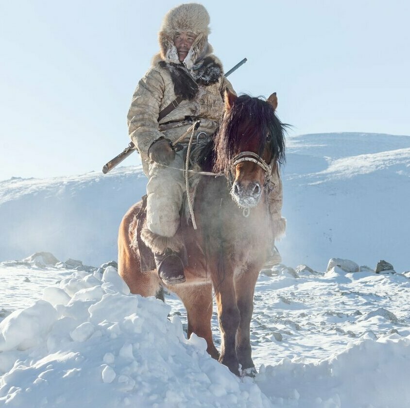 Spring Migration, Mongolia